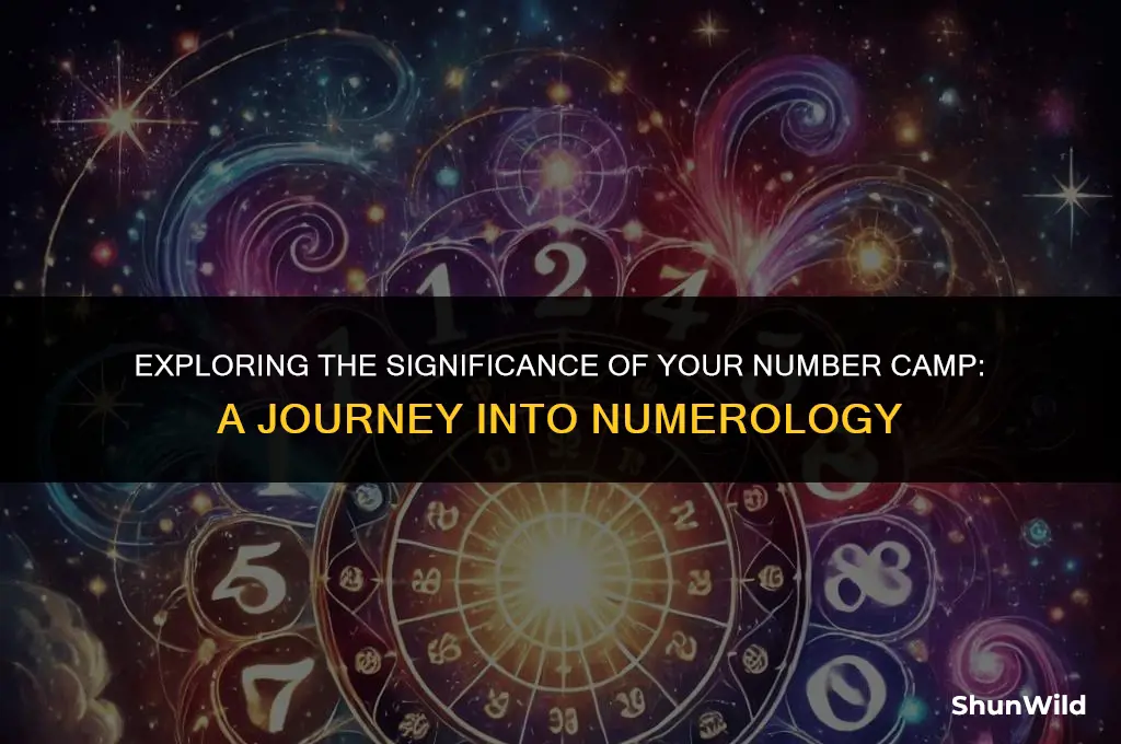 what is your number camp