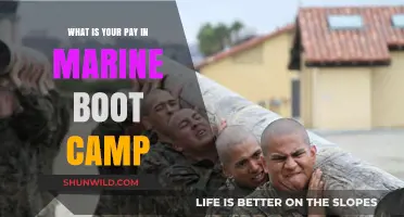 Marine Boot Camp Pay: Understanding Your Earnings During Training