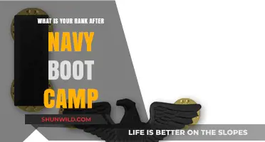 Understanding Your Navy Rank Post-Boot Camp: A Comprehensive Guide