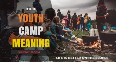Exploring the Essence of Youth Camps: A Comprehensive Guide