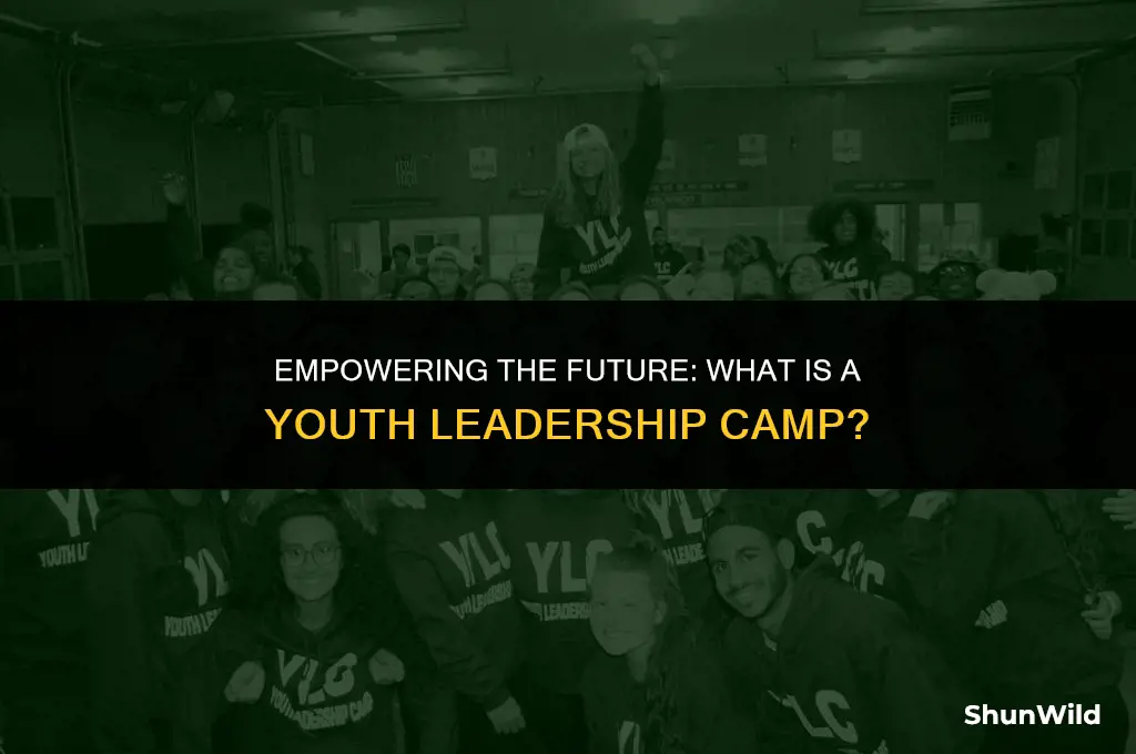 what is youth leadership camp