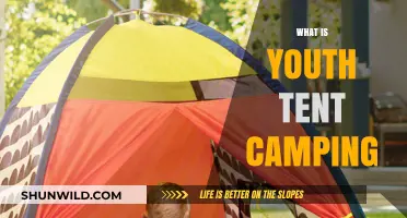 Exploring the Great Outdoors: A Beginner's Guide to Youth Tent Camping