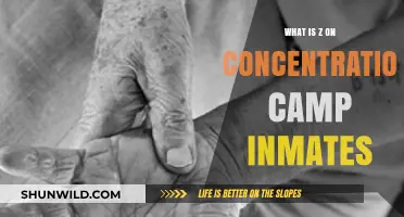 Understanding the Mark: Z's Role in Concentration Camp Inmate Identification