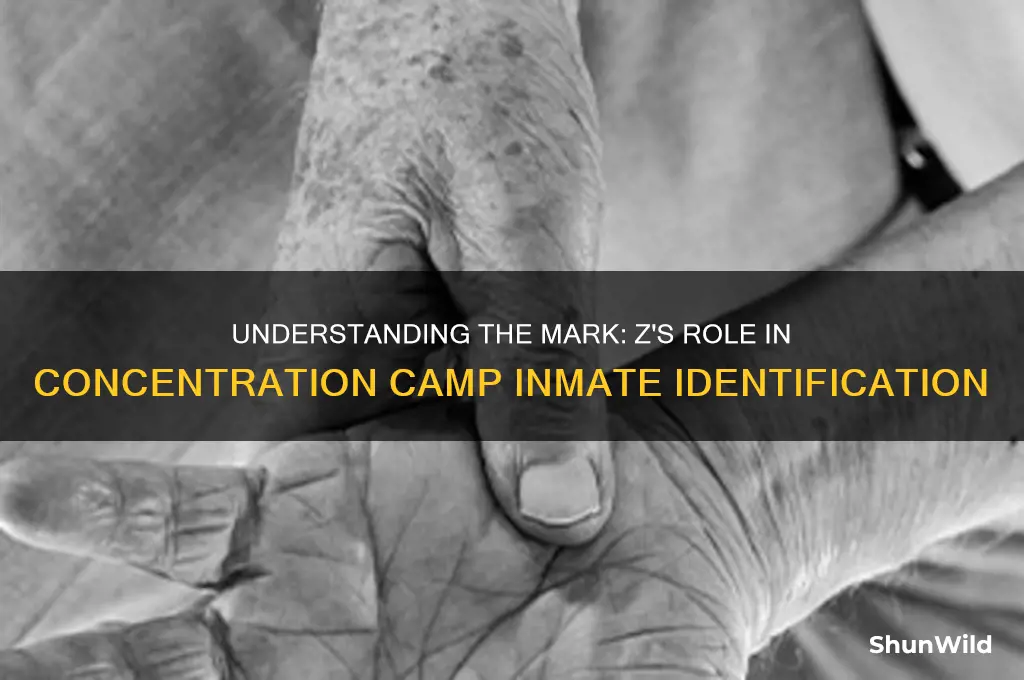 what is z on concentration camp inmates