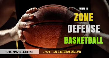Zone Defense: Understanding Basketball's Strategic Play