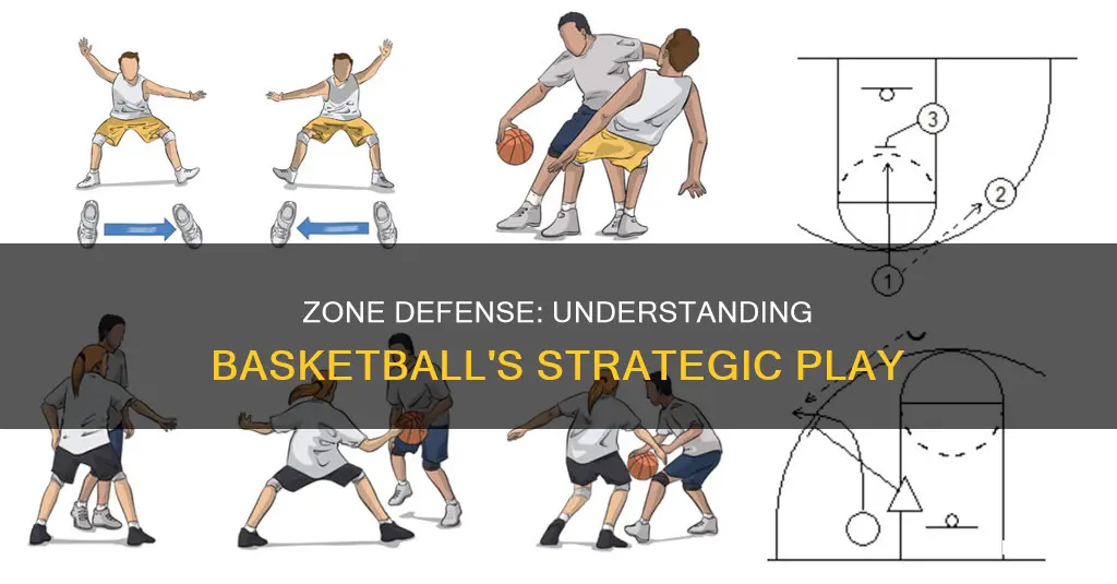 what is zone defense in basketball
