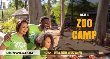 Exploring the Wild Side: What is Zoo Camp?