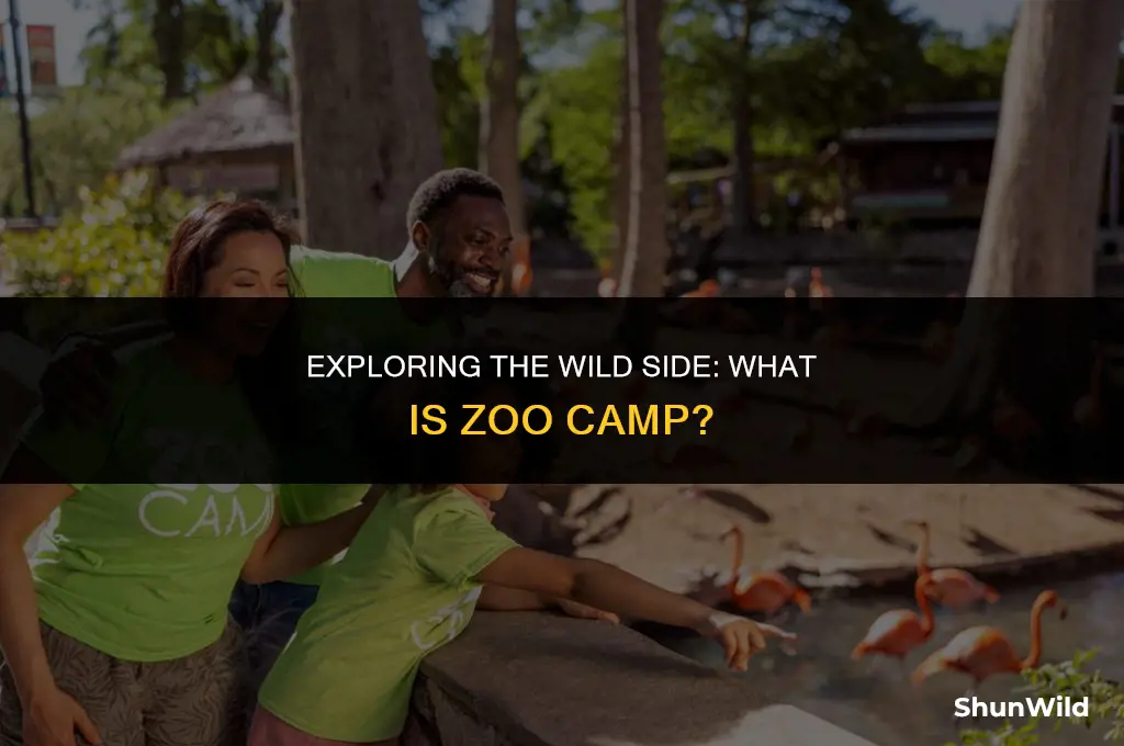 what is zoo camp