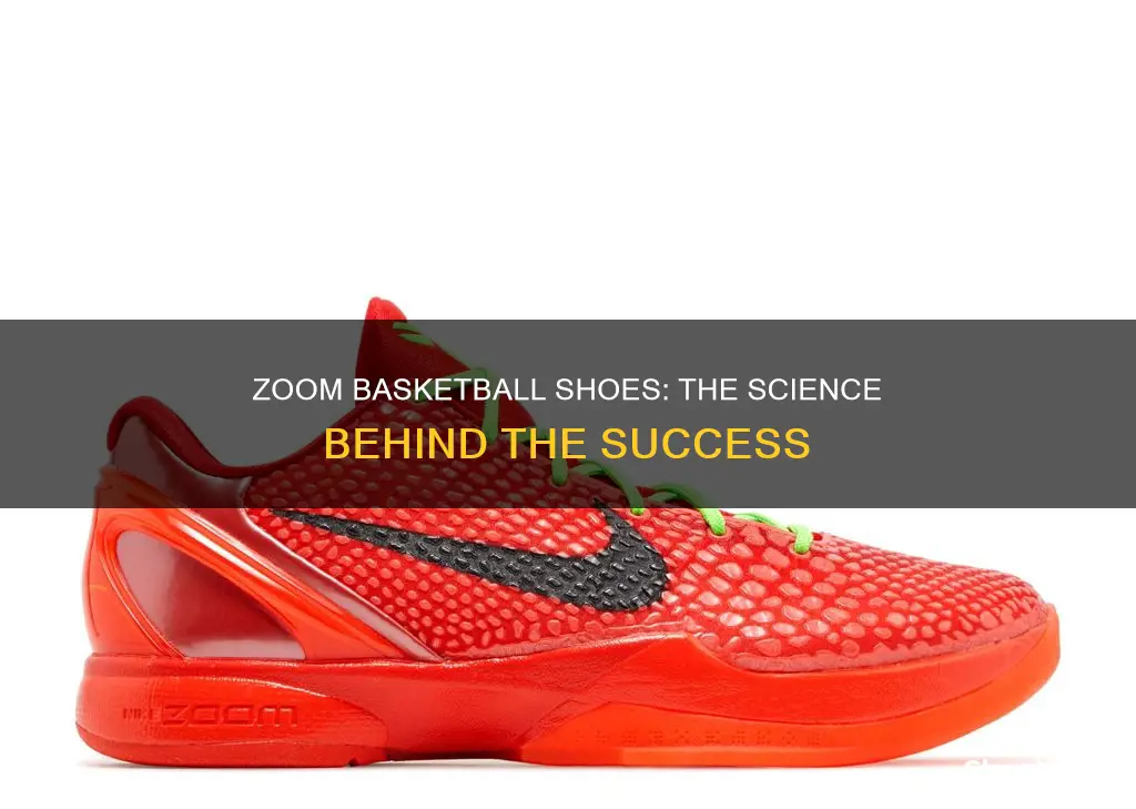 what is zoom basketball shoes