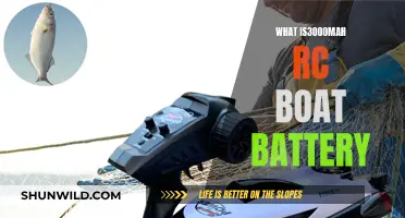 Powering RC Boats: 3000mAh Batteries Explained