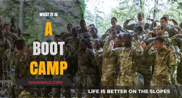 Unveiling Boot Camps: Intense Training Programs for Rapid Skill Development