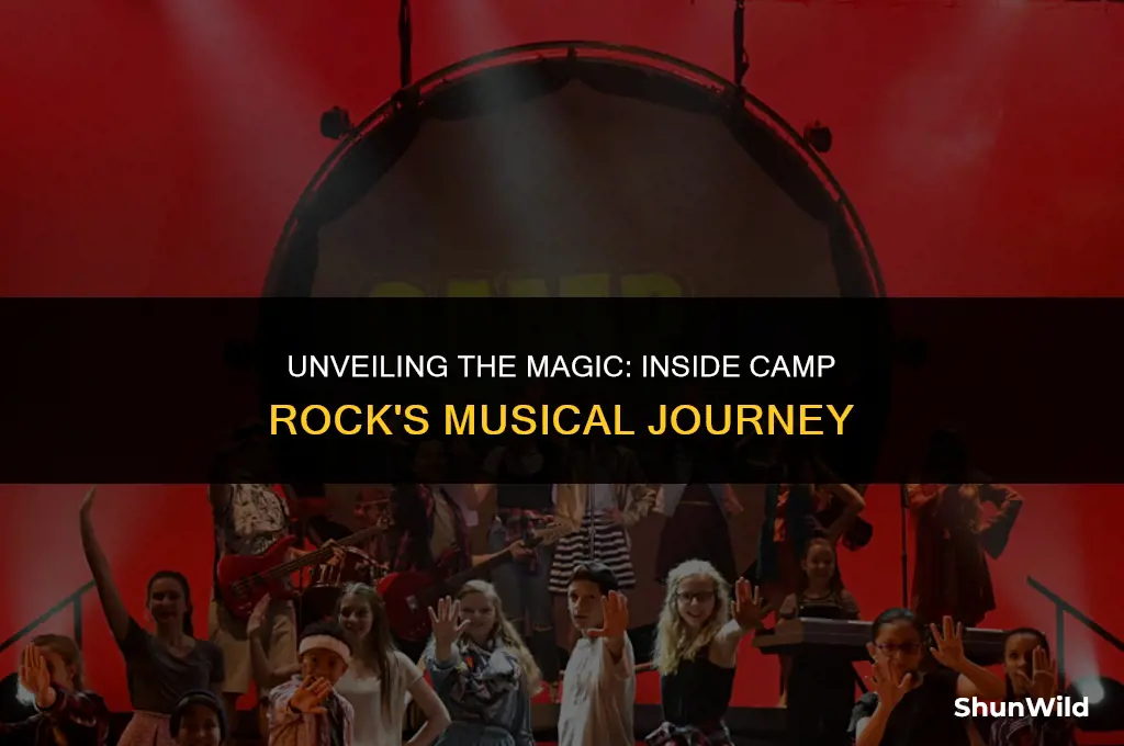 what it takes camp rock