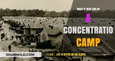 Surviving the Unimaginable: Life Inside a Concentration Camp