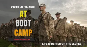 Marine Boot Camp: Grit, Sweat, and Transformation Inside the Barracks