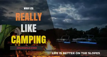 Embracing the Wilderness: An Honest Look at the Camping Experience