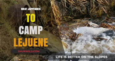 Uncovering the Truth: The Toxic Legacy of Camp Lejeune
