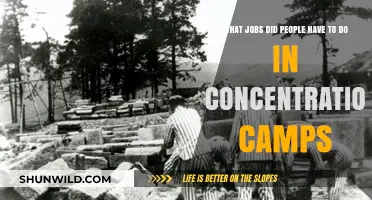Forced Labor in Concentration Camps: The Grueling Jobs Prisoners Endured