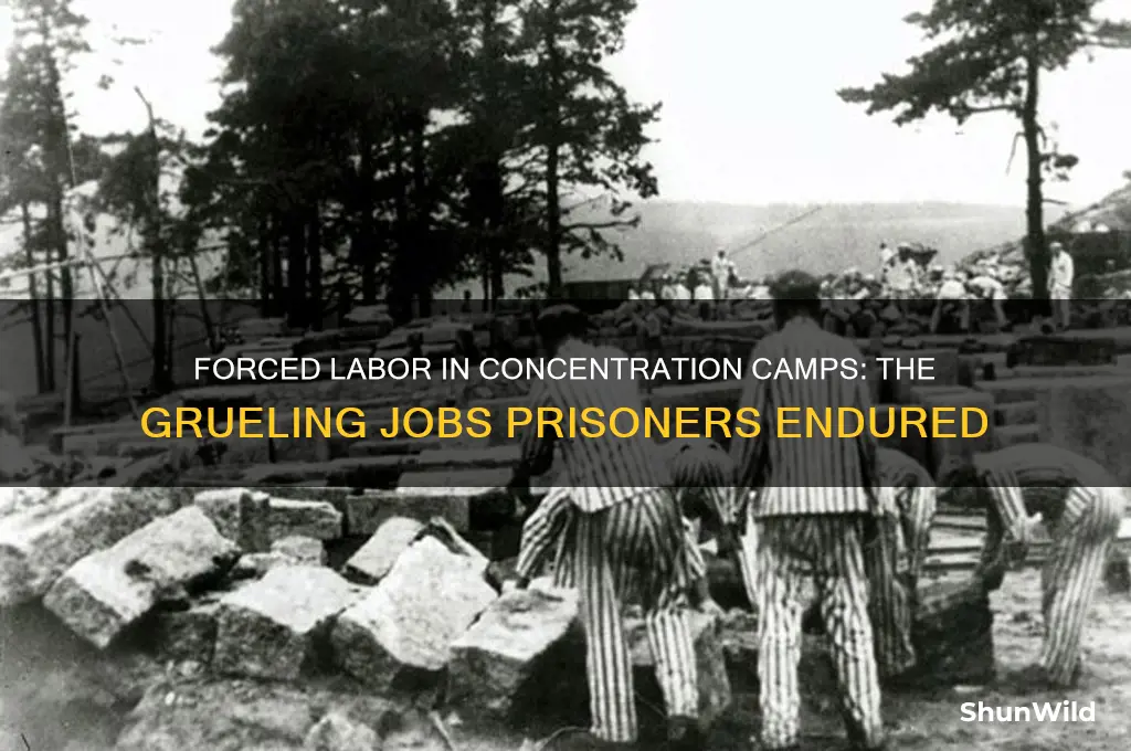 what jobs did people have to do in concentration camps