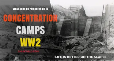 Forced Labor in WWII Concentration Camps: Prisoner Jobs and Survival