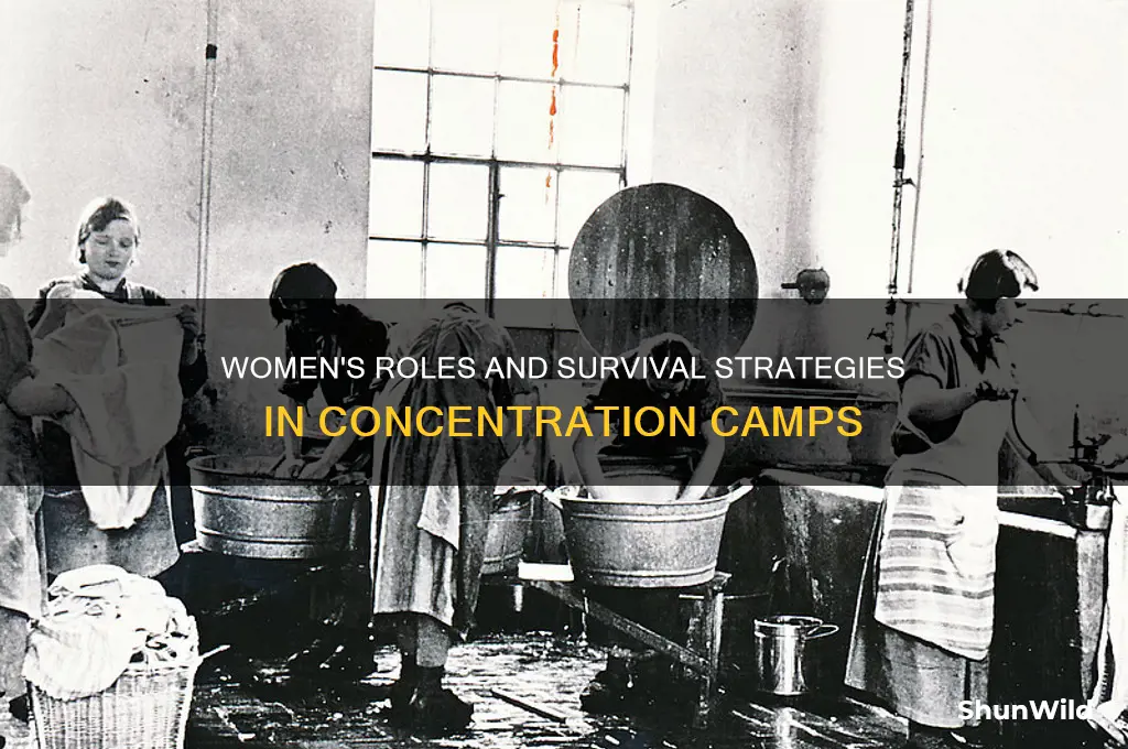 what jobs do the women have during concentration camp