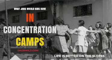 Child Labor in Concentration Camps: Roles and Harsh Realities