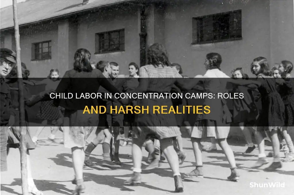 what jobs would kids have in concentration camps