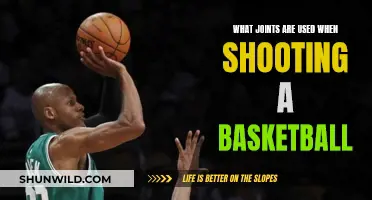 Shooting Form: Understanding the Joints for Basketball Success
