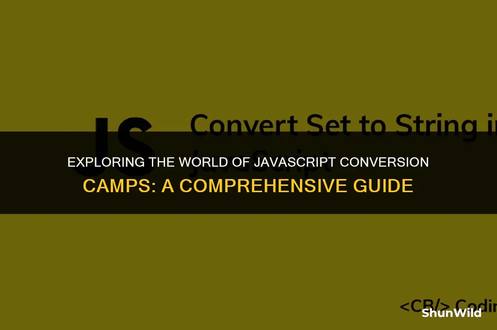 what js conversion camp