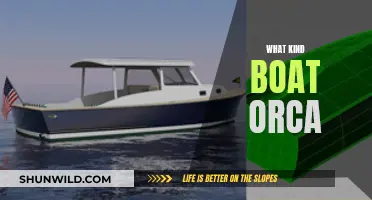 Orca-strating a Boat: Choosing the Right Vessel