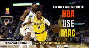 The Basketballs of the NBA: A Guide