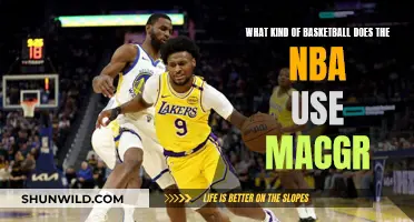 The Official Basketball of the NBA: A Guide