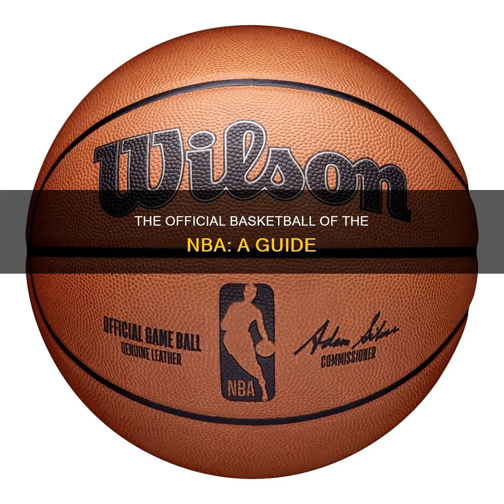 what kind of basketball does the nba use macgr