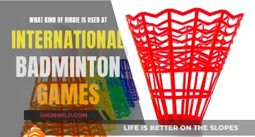 Badminton Birdies: International Standardization