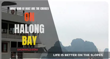 Exploring Halong Bay: Cruise Boat Options