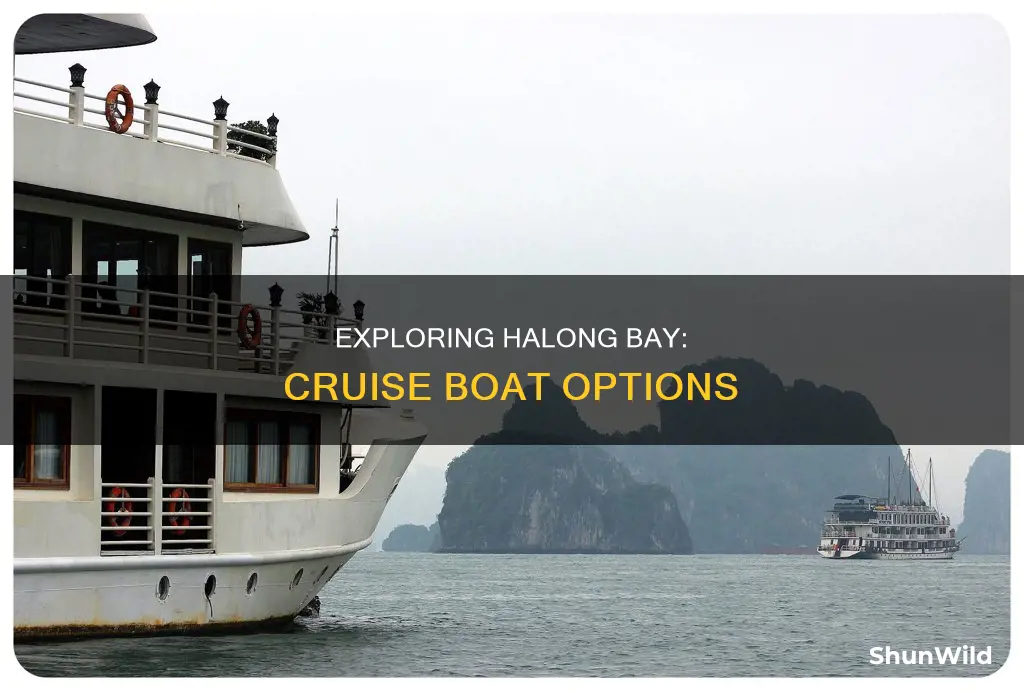 what kind of boat are the cruises on halong bay