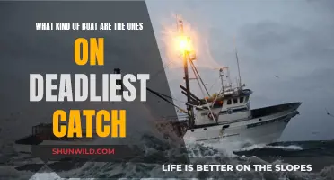 Deadliest Catch: Fishing Vessels Brave the Storm