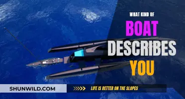 Finding Your True Boat: A Personality Guide