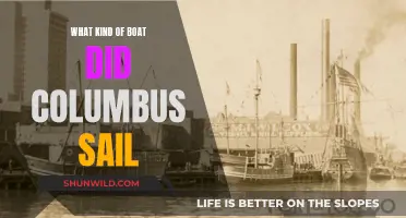 Columbus' Historic Voyage: The Ships that Sailed