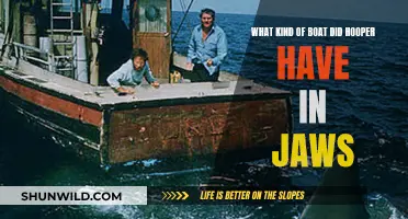 Hooper's Vessel in Jaws: Unraveling the Mystery Boat