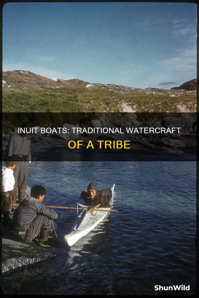 what kind of boat did inuit tribe have