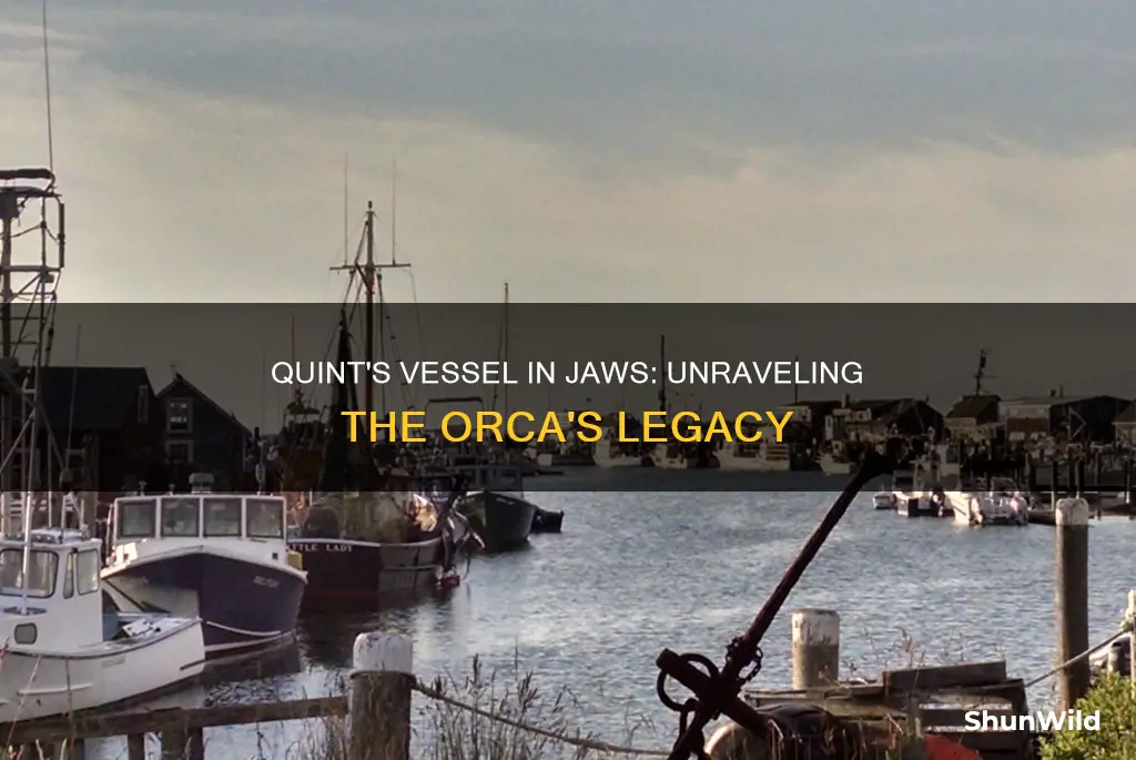 what kind of boat did quint have in jaws