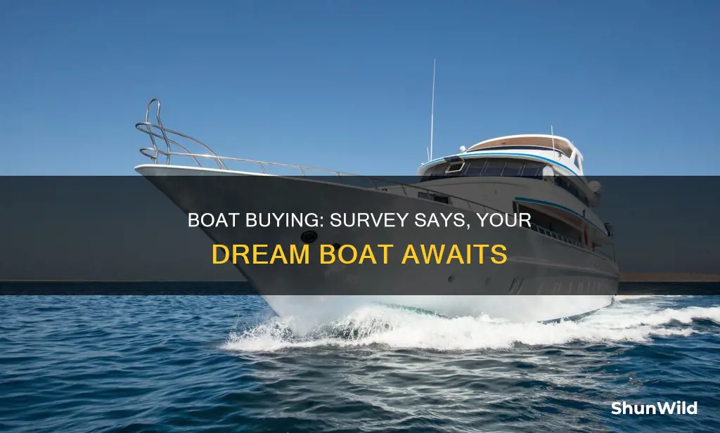 what kind of boat do I want survey