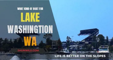 Best Boats for Lake Washington, WA: A Guide