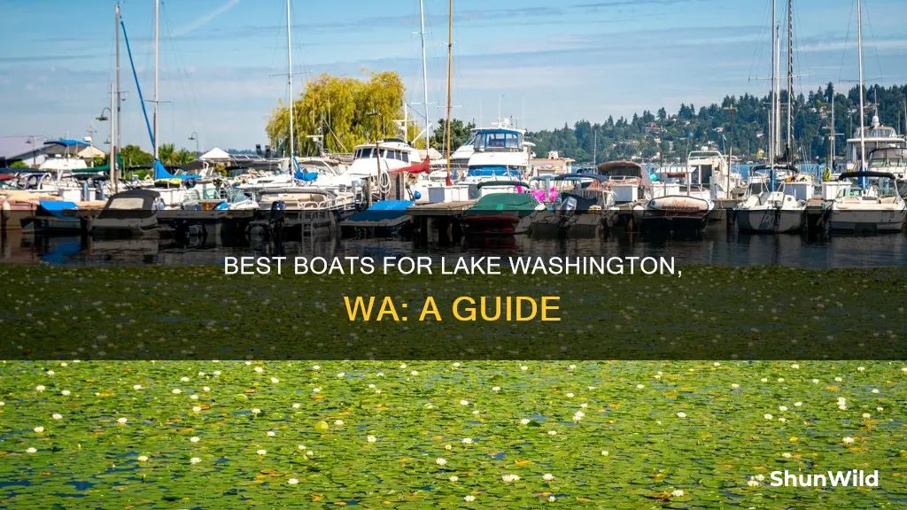 what kind of boat for lake washingtion wa