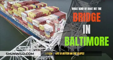 Boating Accident: Baltimore Bridge Collisions and Vessel Types