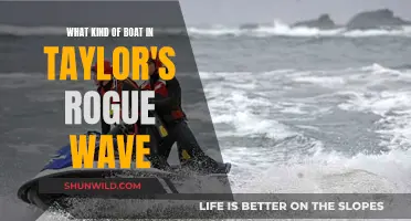 Taylor's Rogue Wave: What Boat is Featured?