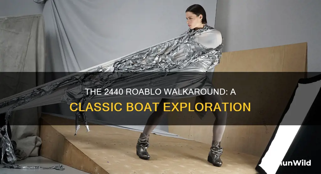 what kind of boat is a 1994 2440 roablo walkaround