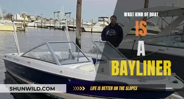 The Bayliner Boat: A Comprehensive Overview