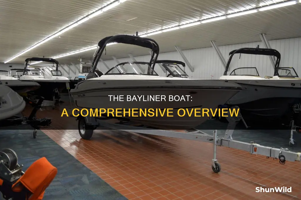 what kind of boat is a bayliner