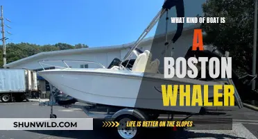 Boston Whaler: A Distinctive Boat Type Explained